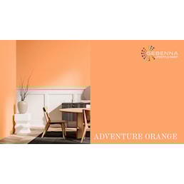 ADVENTURE ORANGE.jpg